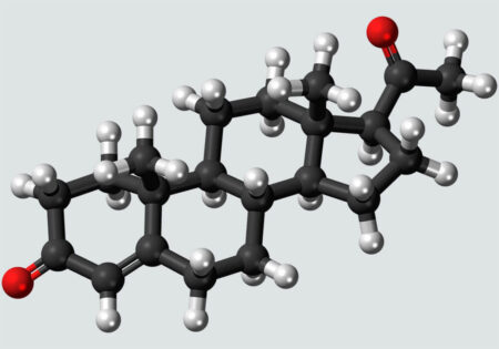 origins-of-progesterone-article-image