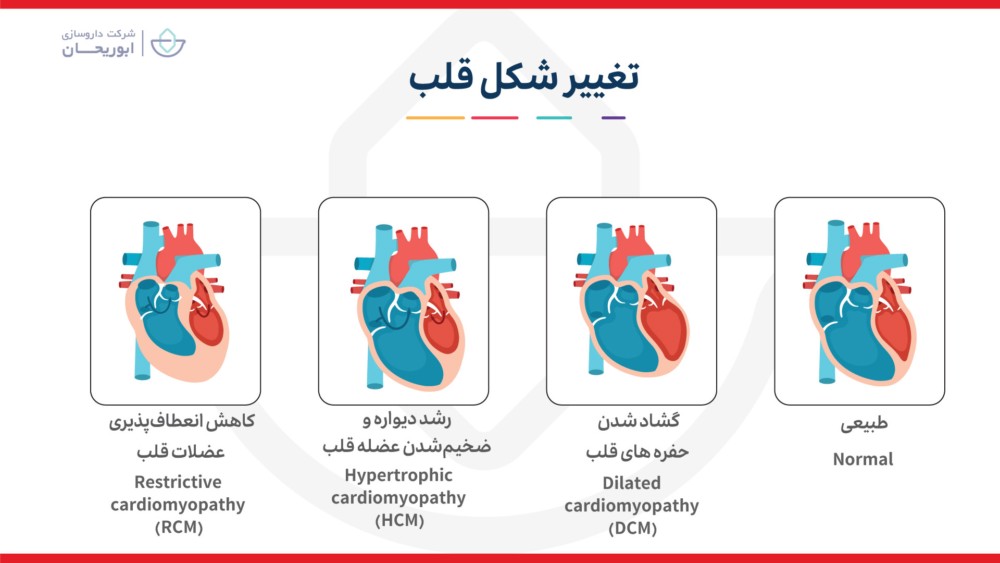 تغییر قلب