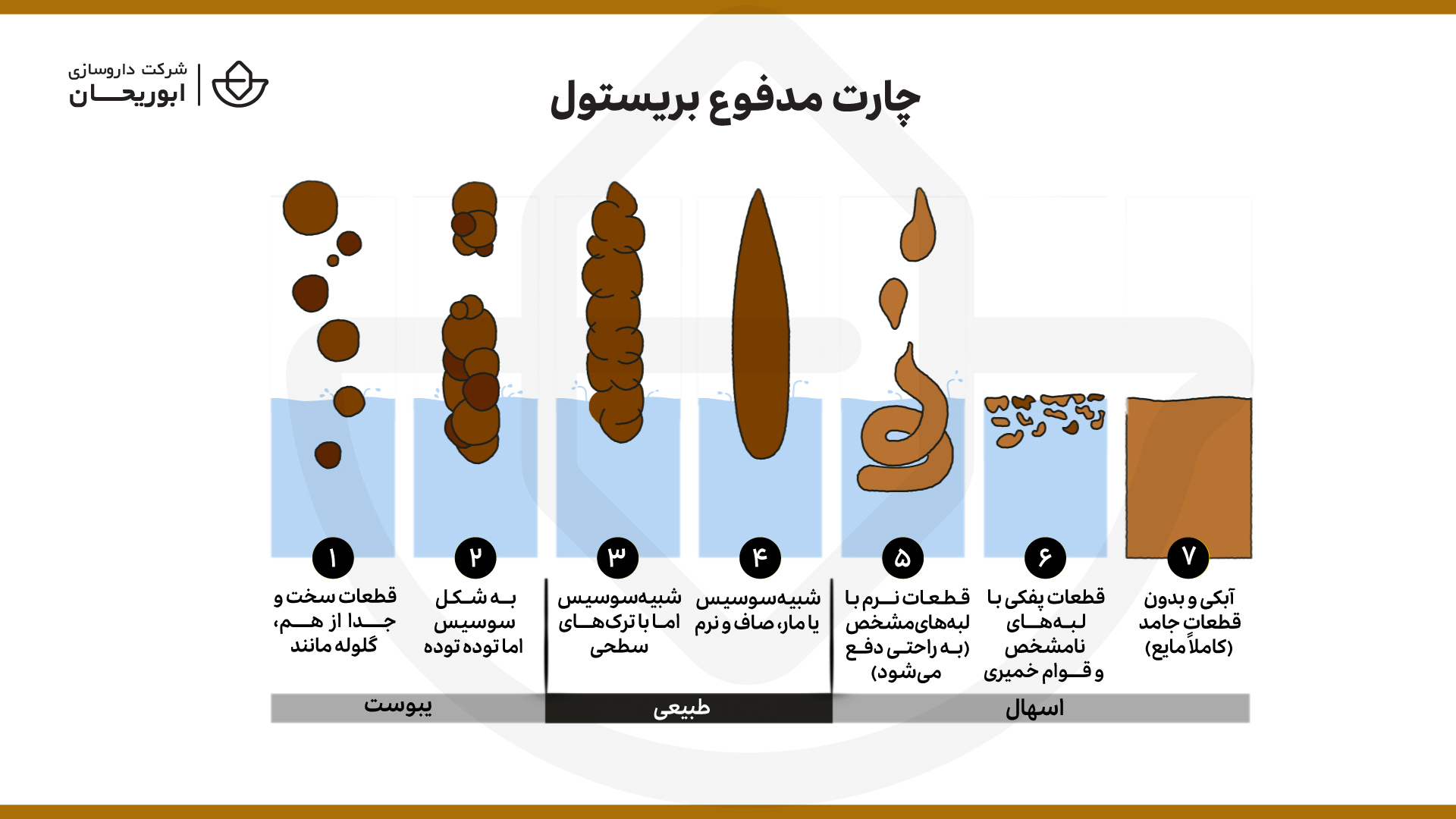 شاخص مدفوع بریستول