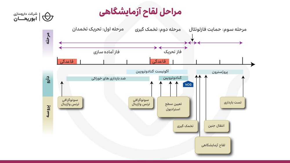 لقاح آزمایشگاهی ناباروری