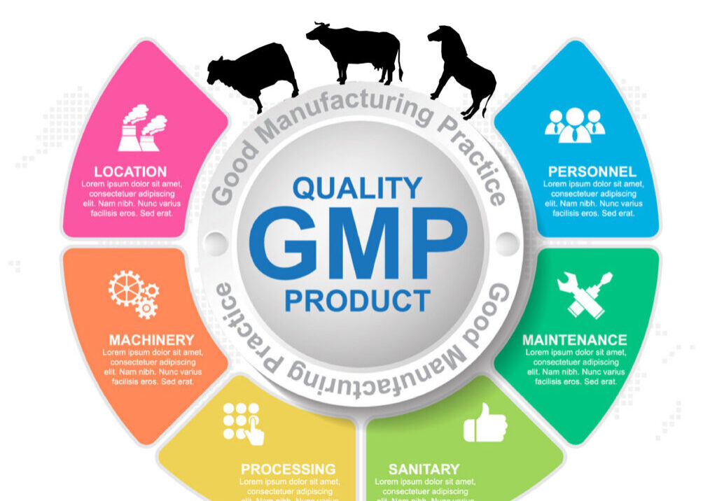 Untitled-1 (1) (1)-01